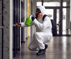 Why You Should Choose Our Mold Remediation Services in Aberdeen, MD